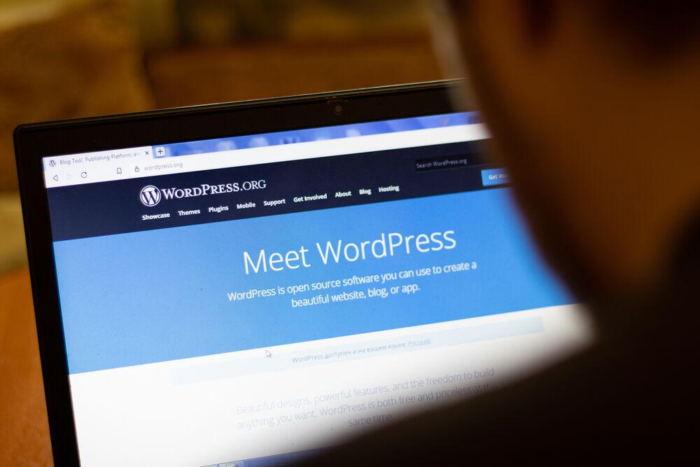 ข้อดีและข้อจำกัดของการใช้ WordPress แบบ Self-Hosted